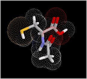 N-acetyl-L-(+)-cysteine  [616-91-1]